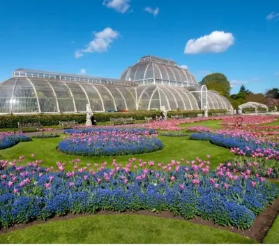 a garden with flowers in front of a greenhouse at 2 bed flat - TW7 4NH in Moffat