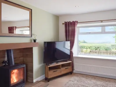 a living room with a flat screen tv and a fireplace at High Wardneuk - Uk47041 in Symington
