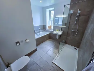 a bathroom with a shower and a toilet and a sink at Balmory Stables South - luxury stable conversion in Ascog