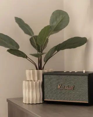 a plant sitting on a table next to a speaker at Moment Blythswood St in Glasgow