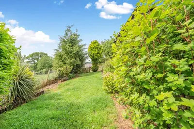 a hedge of green plants on a field of grass at 2 Bed in Methven oc-c32362 in Methven