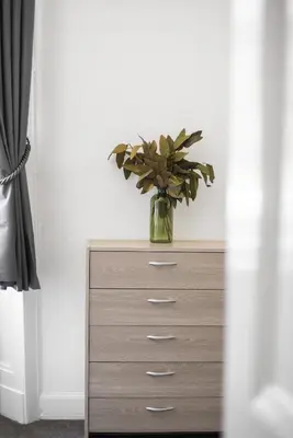 a vase with a plant on top of a dresser at Sleek Canalside Stay in Edinburgh in Edinburgh