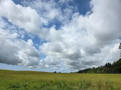 a large green field with a cloudy sky at Lovely Caravan number 96 at Three Lochs Holiday Park in Kirkcowan