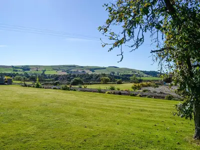 a green field with a tree in the foreground at Hydee House in Dumfries