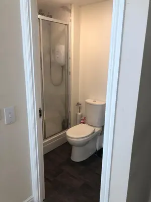 a bathroom with a toilet and a shower at 17 flat 11 slateford gait in Edinburgh