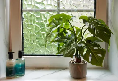 a plant in a vase next to a window at Luxury Old Town Apartment just a 5 Minute Walk to Stirling Castle in Stirling