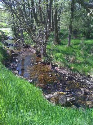a stream in a field with grass and trees at The Barn on Loch Tay - Hot Tub in Lawers