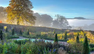 a garden with a pond and trees and flowers at Llygad yr Haul in Moffat
