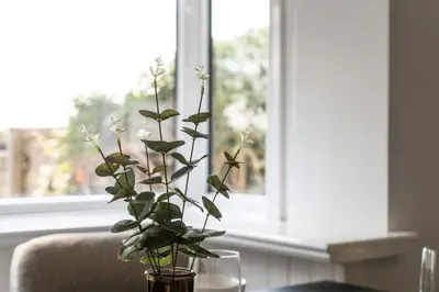 a vase with a plant on a table in front of a window at Kirkstyle Cottage in Coatbridge