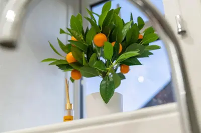 a plant in a white vase in front of a mirror at Couples or Golfers Near to Beach in Troon