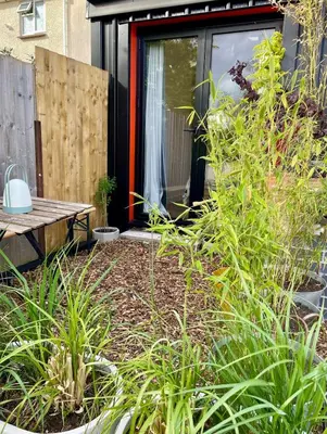 a garden with a bench and plants in front of a house at Beechwood in Moffat