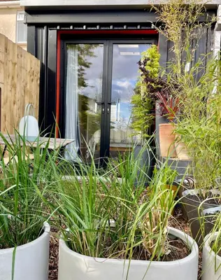a garden with plants in pots in front of a door at Beechwood in Moffat