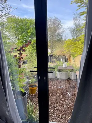 a window view of a garden with potted plants at Beechwood in Moffat