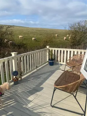 a deck with chairs and sheep grazing in a field at Turnberry holiday park in Turnberry