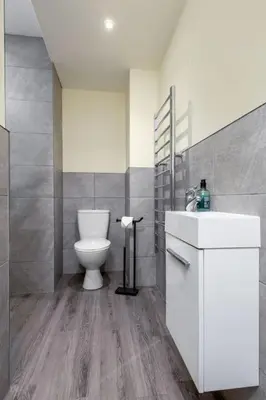 a bathroom with a toilet and a sink at Stirlings Hidden and Tranquil Studio Apartment in Stirling