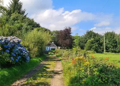 a dirt road in a field with flowers at Rock Cottage in Isle of Arran