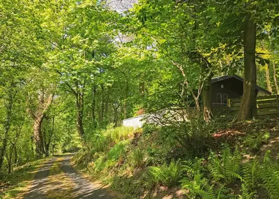 a dirt road leading to a cabin in the woods at Hideaway Lodges in Boʼness