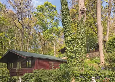 a log cabin in the middle of a forest at Hideaway Lodges in Boʼness