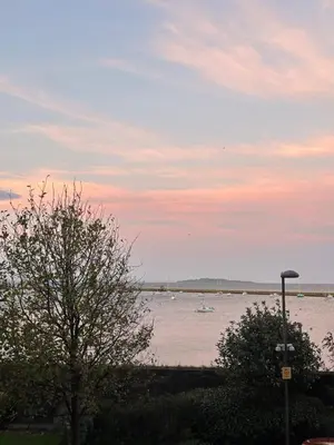 a body of water with a tree and a street light at Pier House in Edinburgh