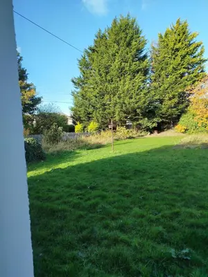 a grassy yard with trees in the background at Lovely place at Stenhouse in Edinburgh