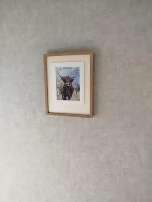 a picture of a bull hanging on a wall at Lovely place at Stenhouse in Edinburgh