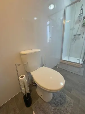a bathroom with a white toilet and a shower at Comfort in the East in Glasgow