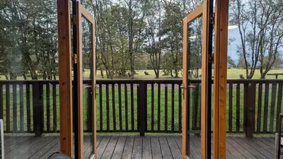 a screened in porch with a view of a park at Bracken Lodge in Dalavich