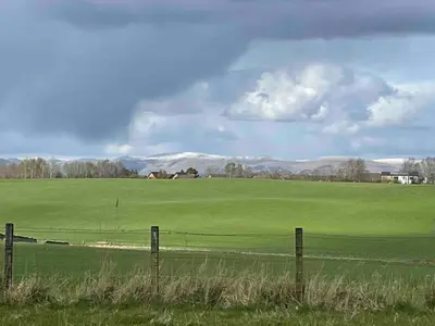 a fence in a field with a green field at Linlithgow cottage close to Edinburgh in Linlithgow