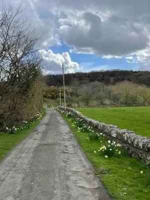 a dirt road in a field with a stone wall at Linlithgow cottage close to Edinburgh in Linlithgow
