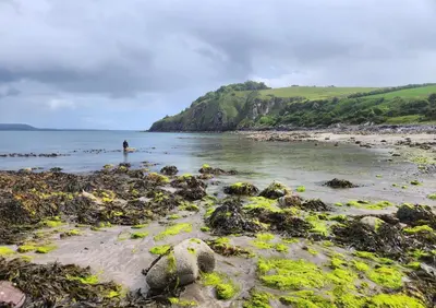 a person standing in the water at the beach at 3 Bed in Kirkcolm oc-b34009 in Kirkcolm