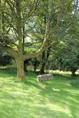 a tree with a swing hanging from a tree at Hillside House in Dunfermline