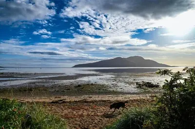 a dog walking on a beach near the water at Sealladh Mor-Cottage in Lamlash, Arran in Lamlash