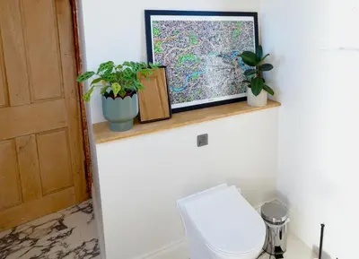 a bathroom with a toilet and plants on a shelf at Carmona Bank in Dunoon