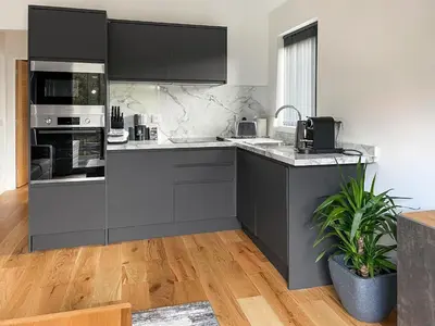 a kitchen with black and white appliances and a plant at Riverview Lodge in Acharra