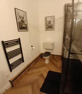a bathroom with a toilet and a mirror at 89A Bank Street 3 bedroom in Jamestown
