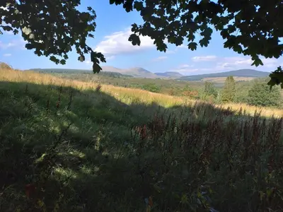 a field of tall grass with mountains in the background at Courtyard Cottage in Castle Douglas