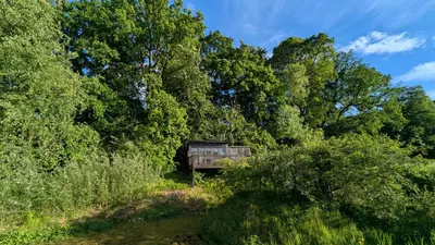 a wooden shack in the middle of trees at Luxury Shepherds Hut on Powis House Estate in Stirling