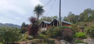 a house with a palm tree in front of it at Carrick Chalets in Cairndow