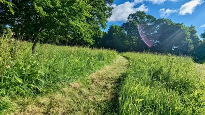 a path through a field of tall grass at Shepherds Hut on tranquil Powis House Estate in Stirling
