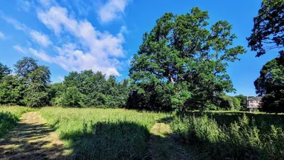 a field of grass with trees and a house in the background at Shepherds Hut on tranquil Powis House Estate in Stirling