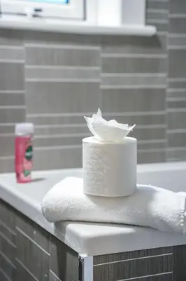 a stack of toilet paper on a counter in a bathroom at Sedgebank House in Livingston