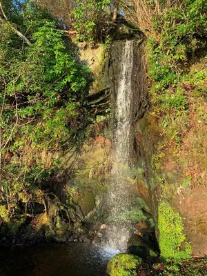a waterfall on the side of a river with trees at The Corrie Hotel in Corrie