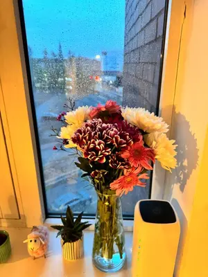 a vase filled with flowers sitting on a window sill at Skyline Serenity Cost Flat in Glasgow