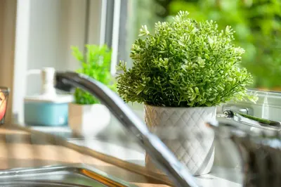 a plant in a vase sitting on a sink at Stylish Stirling home with stunning views in Stirling