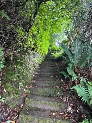 a set of stone stairs in a lush green forest at 6 Lomond Castle - The Inchcruin Suite in Luss