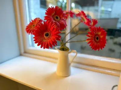 a vase with red flowers sitting on a window sill at Blantyre Cosy Hideaway in Edinburgh