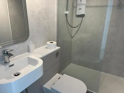 a bathroom with a shower and a toilet and a sink at Belstane Manor in Carluke