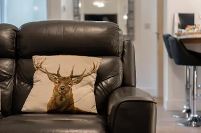a deer pillow sitting on a leather chair at Moffat Apartment with Hot Tub in Moffat