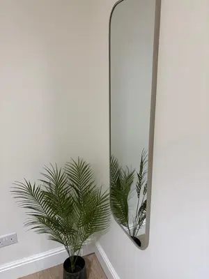 a plant in a room next to a mirror at Castle flat in Edinburgh in Edinburgh