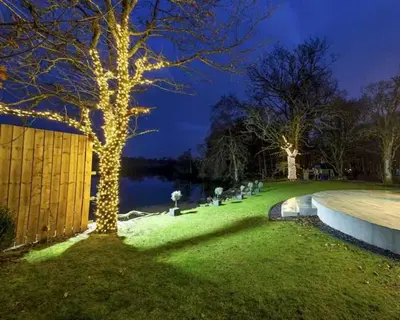 a tree with lights on it in a yard at Cameron North Lodge in Balloch